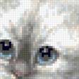 Предпросмотр схемы вышивки «Голубоглазое трио» (№989080)