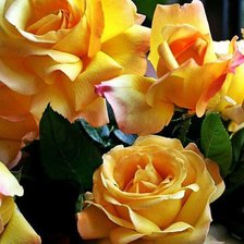 Схема вышивки «жёлтые розы»