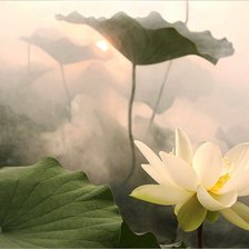 Схема вышивки «экзотический цветок»