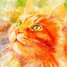 Схема вышивки «солнечный кот»