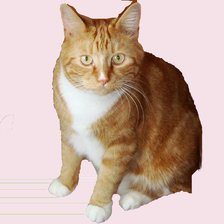 Схема вышивки «Тихий»