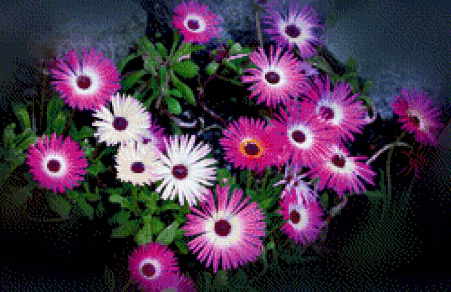 цветы - цветы, букет - предпросмотр