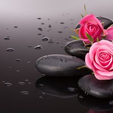 Схема вышивки «розы»