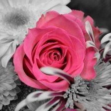 Схема вышивки «розы»