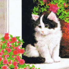 Схема вышивки «Котик на крылечке»