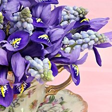 Схема вышивки «цветы Ирисы»