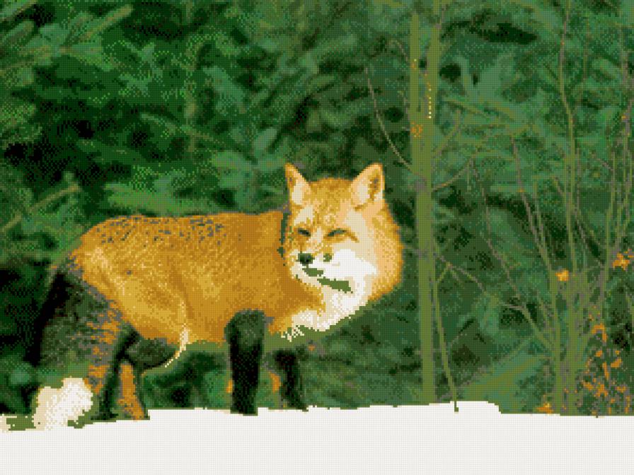 Лис в лесу - предпросмотр