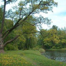 Схема вышивки «№990053»