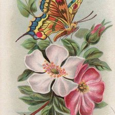 Схема вышивки «№990092»