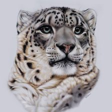 Схема вышивки «Барс»