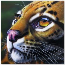 Схема вышивки «взгляд хищника»