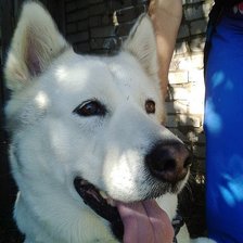 Схема вышивки «Хати»