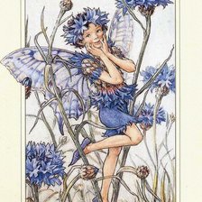 Схема вышивки «фея в васильках»