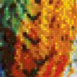 Предпросмотр схемы вышивки «попугай» (№990684)