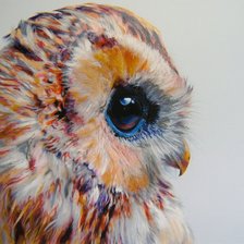 Схема вышивки «сова»