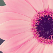 Схема вышивки «цветок»