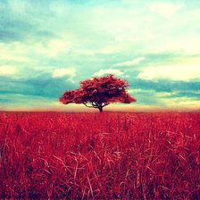 Схема вышивки «Дерево»