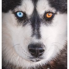 Схема вышивки «150»