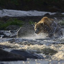 Схема вышивки «154»