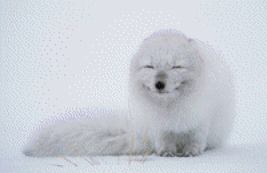 157 - предпросмотр