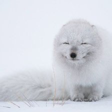 Схема вышивки «157»