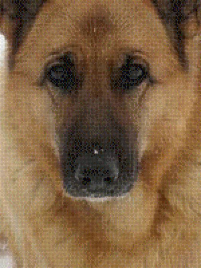 158 - предпросмотр