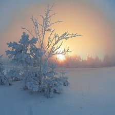 Схема вышивки «161»