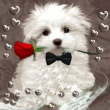 Схема вышивки «№991078»