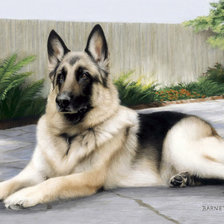 Схема вышивки «0216»