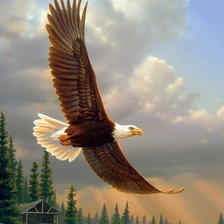 Схема вышивки «0219»