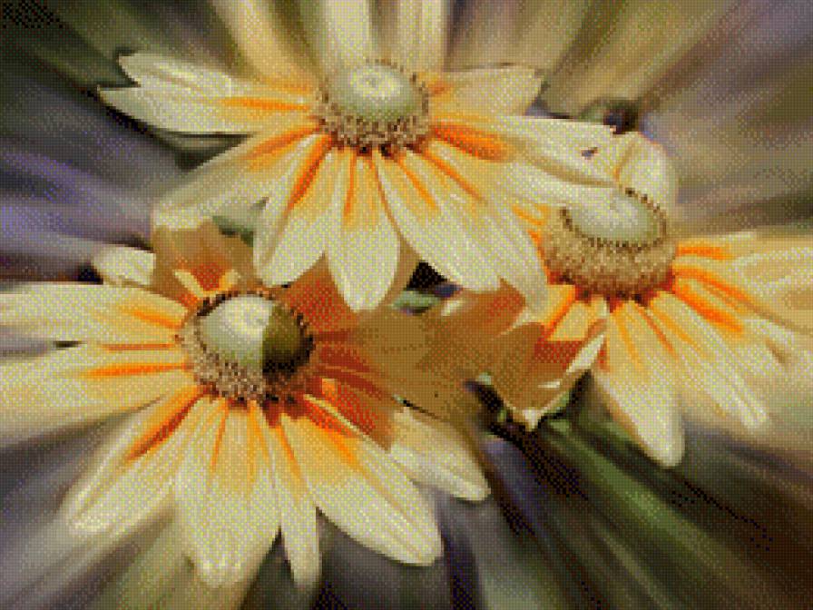 №991184 - предпросмотр