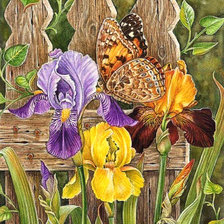 Схема вышивки «Серия "Цветы и бабочки"»