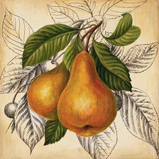 Схема вышивки «Серия "Фрукты, ягоды"»