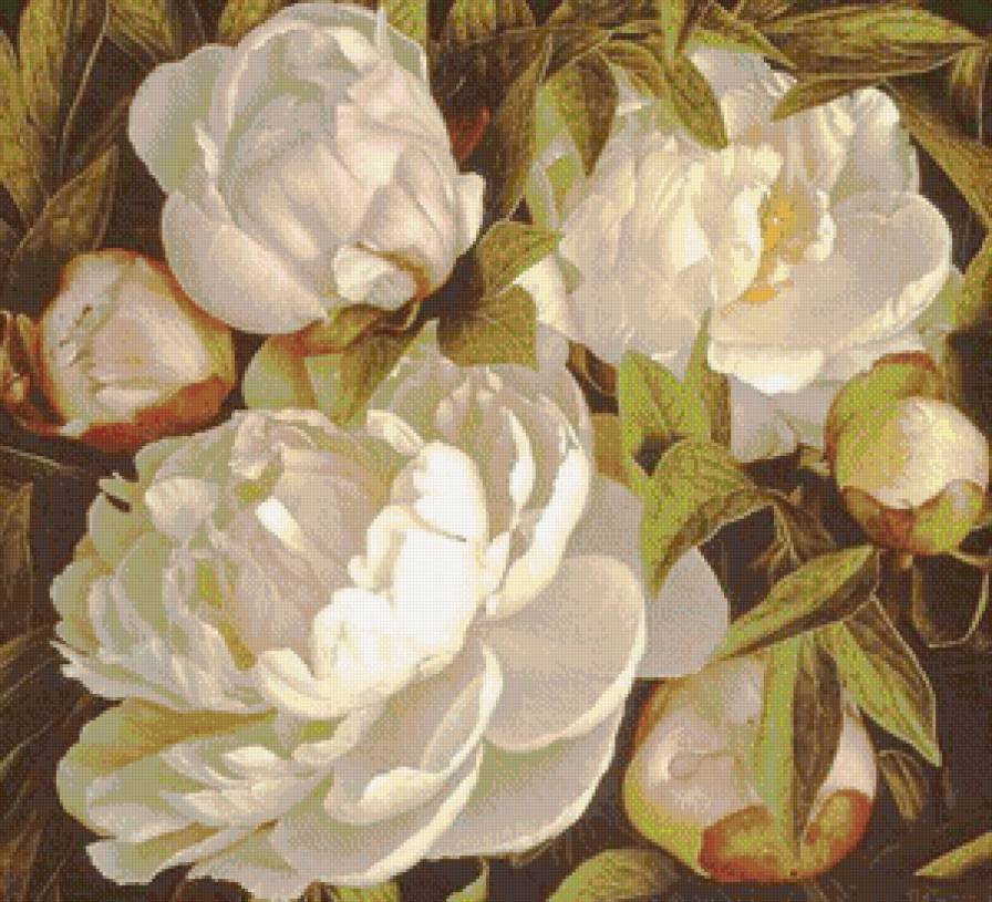 Пионы (Peonies) Mia Tarney1 - цветы, пионы, живопись - предпросмотр