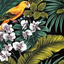 Схема вышивки «тропики»