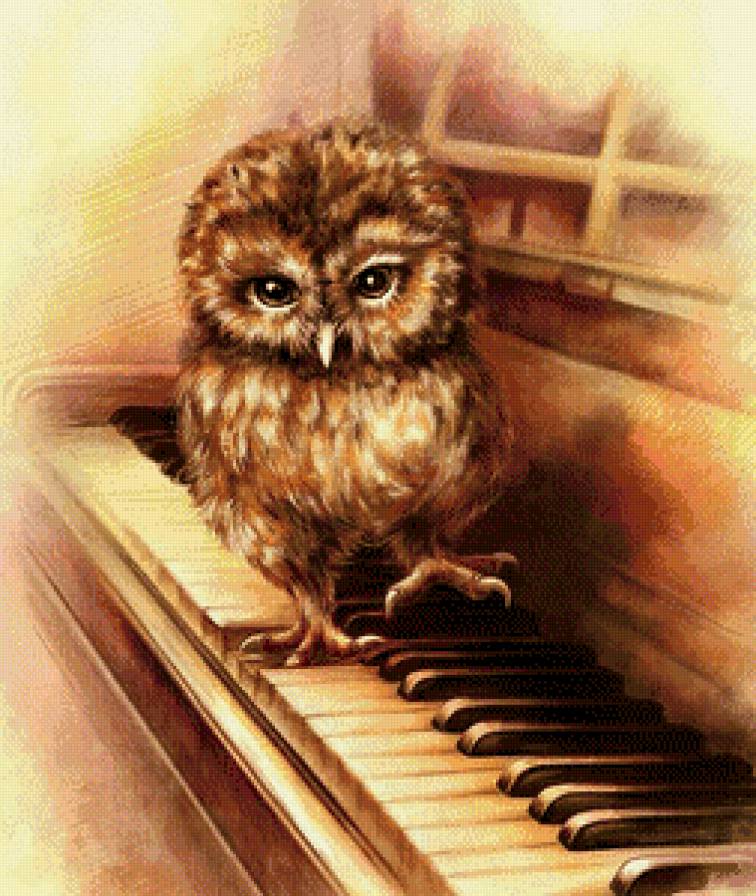 Серия "Пернатые" - совенок, пианино, сова, музыкант - предпросмотр