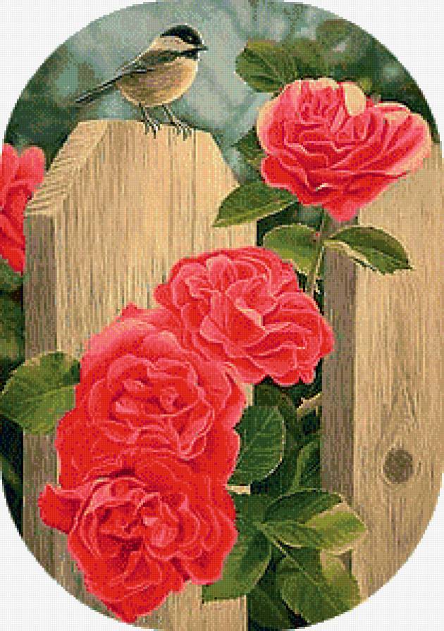 Серия "Цветы, букеты" - розы, забор, сад, птичка - предпросмотр
