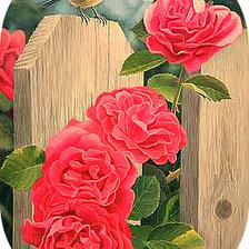 Схема вышивки «Серия "Цветы, букеты"»