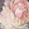 Предпросмотр схемы вышивки «Peonies» (№991634)