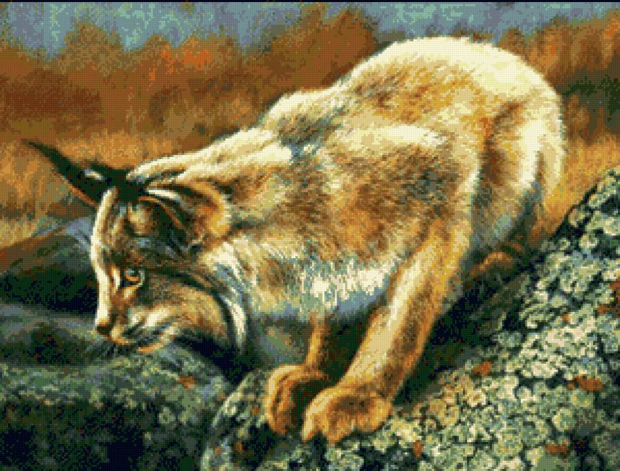 дикий мир Rebecca Latham - хищники, рыси, кошки, природа - предпросмотр