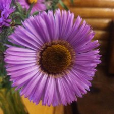 Схема вышивки «Цветок»