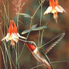 Схема вышивки «дикий мир Rebecca Latham»