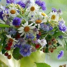 Схема вышивки «полевые цветы»