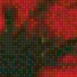 Предпросмотр схемы вышивки «маки» (№991949)