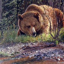 Схема вышивки «Медведь»