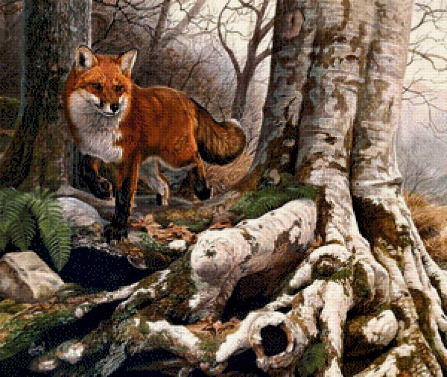 Лисица - дикая природа, лиса, лисица - предпросмотр