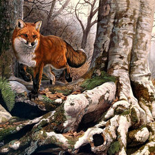 Схема вышивки «Лисица»