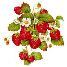 Схема вышивки «серия "фрукты"»