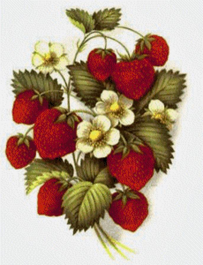 серия "фрукты" - фрукты, ягоды.клубника.цветы - предпросмотр