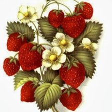 Схема вышивки «серия "фрукты"»